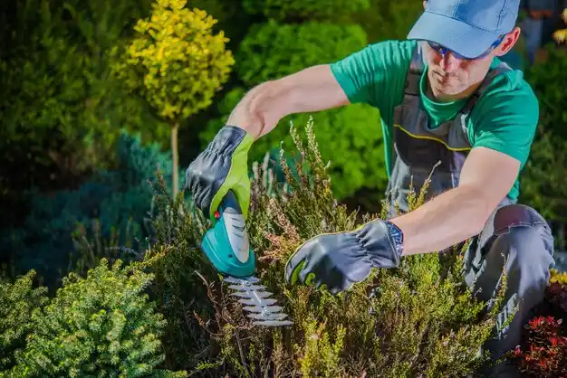 landscaping services Pleasant City